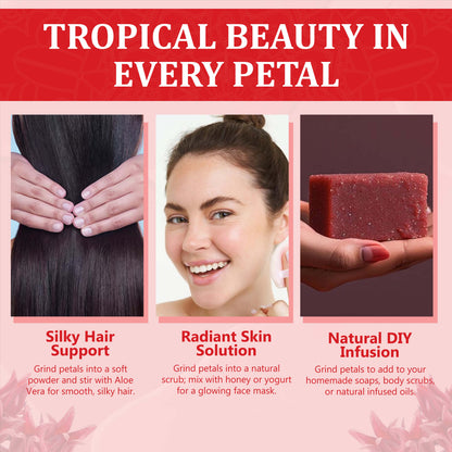 Akshit 5 oz. Dried Hibiscus Flowers (Flor de Jamaica) Tea | Loose Leaf Tea | Caffeine-Free | Vegan Friendly | Fleurs d'hibiscus – Antioxidant Herbal Tea