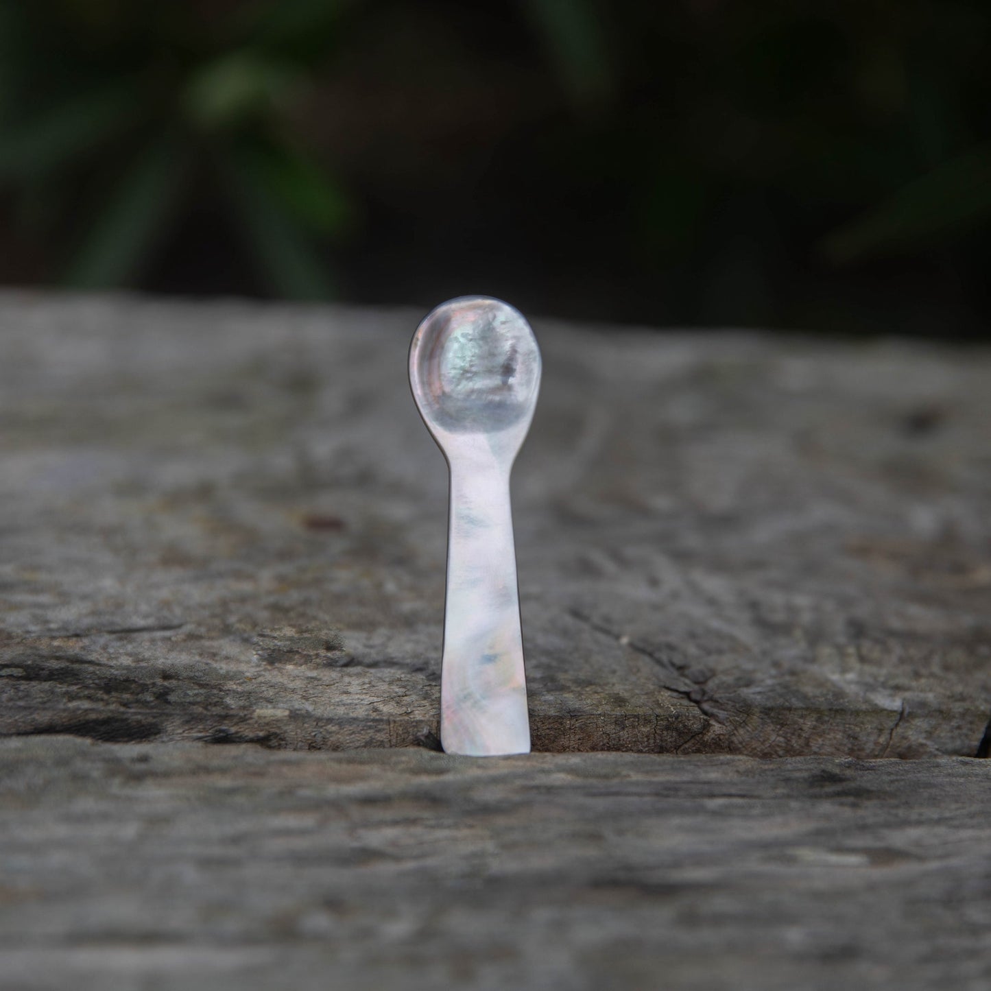 Leaves & Wood Solid Perfume Balm + Mother of Pearl Spoon