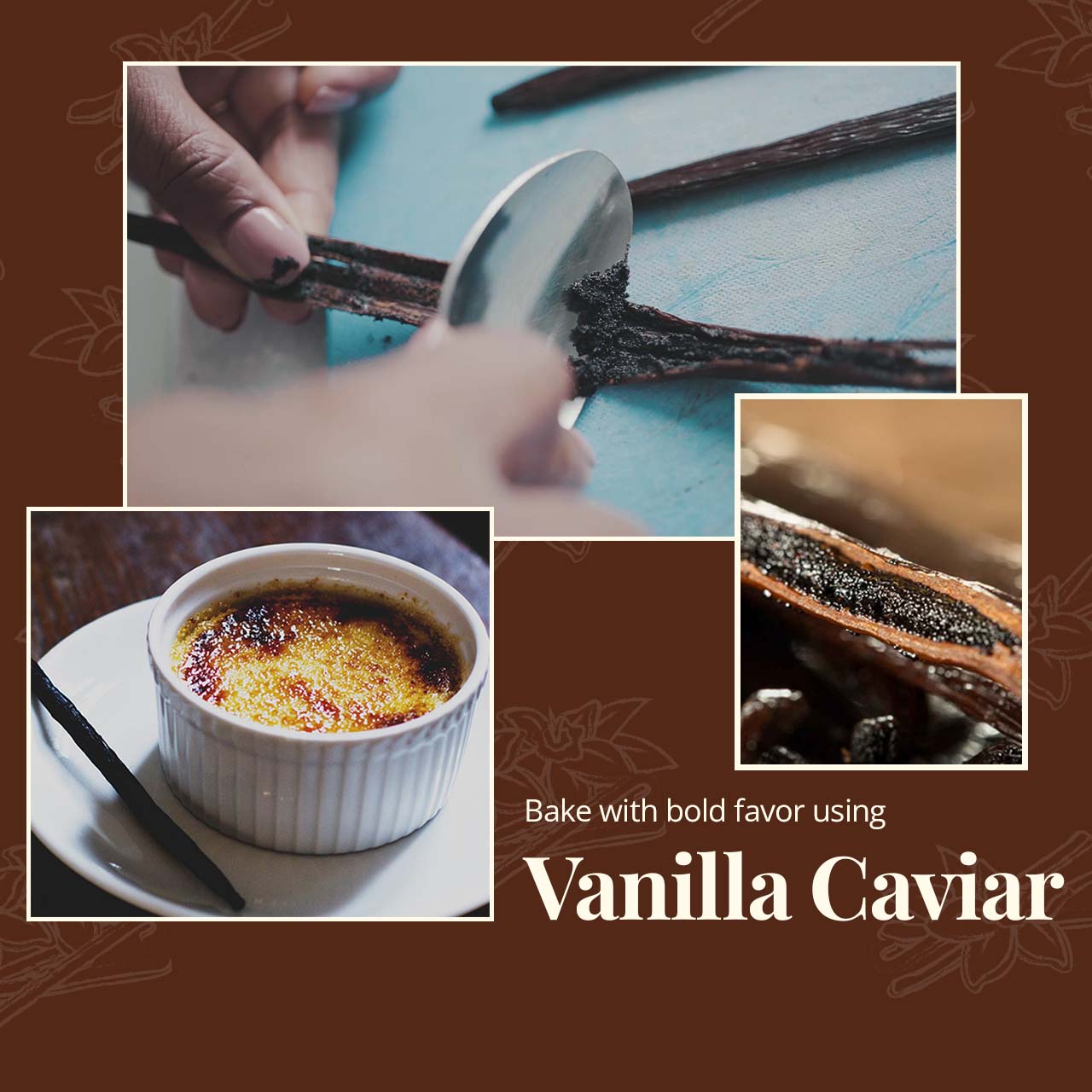 Grade A Ugandan Vanilla Beans – Whole Bulk Vanilla Pods for Baking & Extracts | Non-GMO